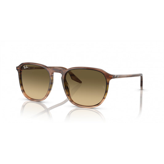 Ray-Ban 0RB2203