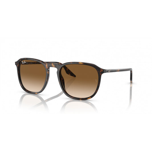 Ray-Ban 0RB2203