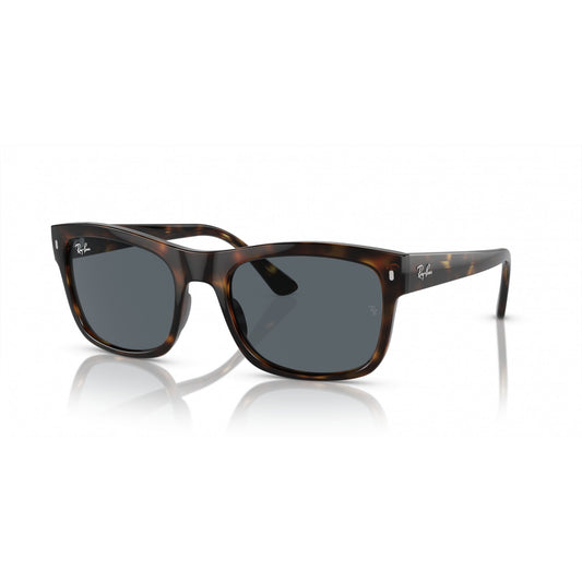 Ray-Ban 0RB4428