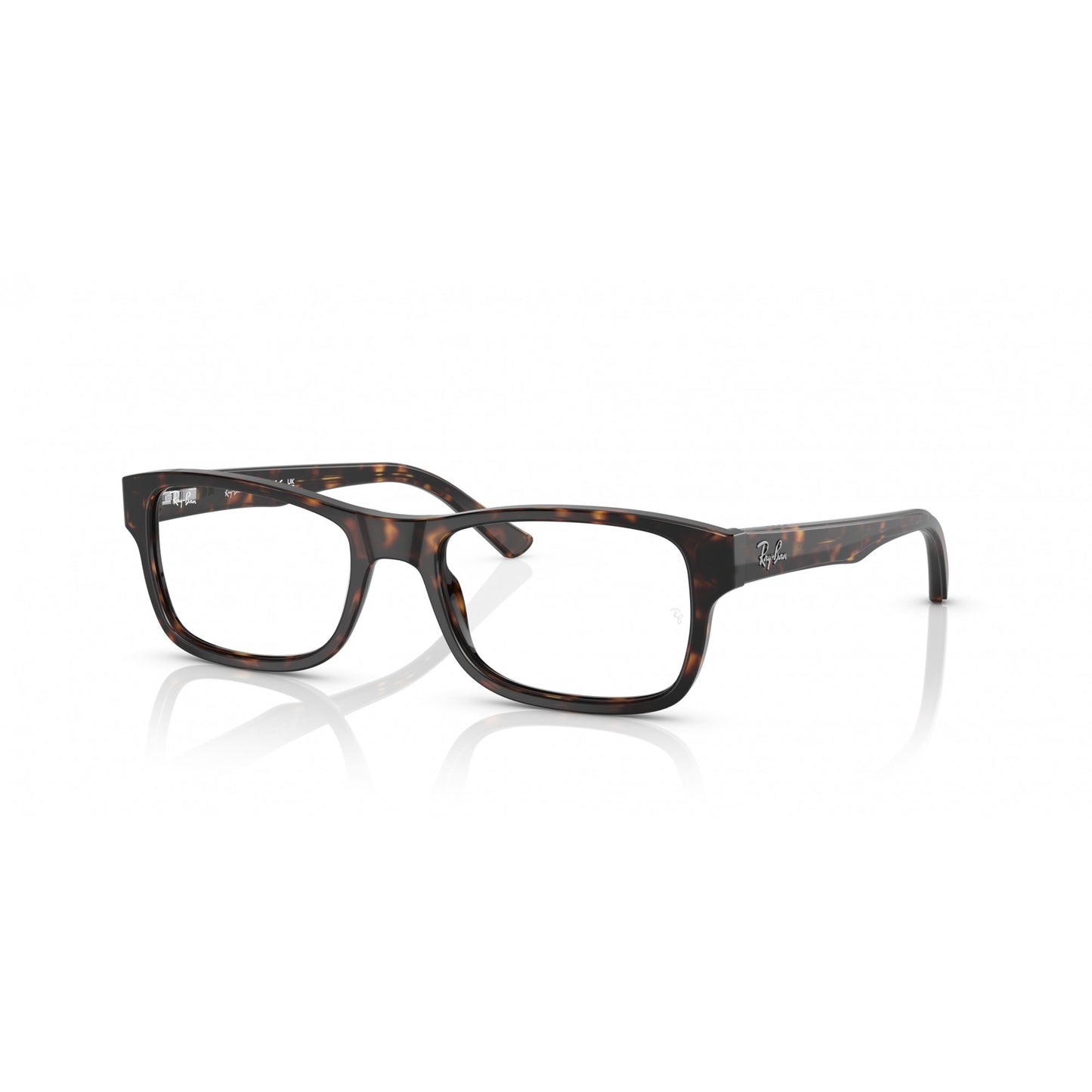Ray-Ban 0RX5268