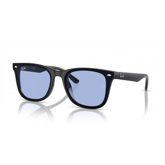 Ray-Ban 0RB4420