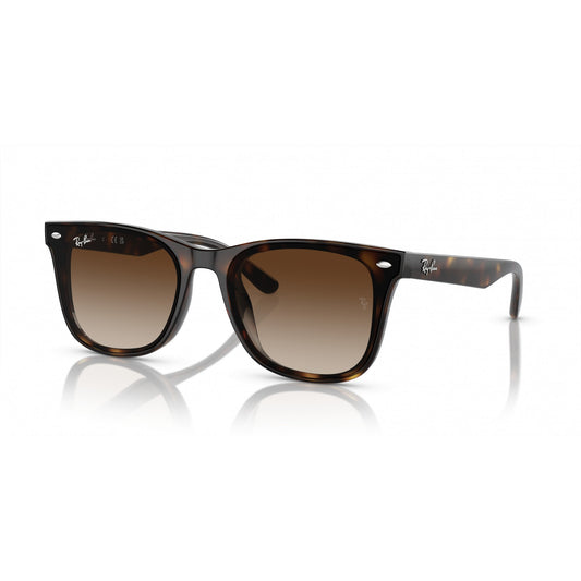 Ray-Ban 0RB4420
