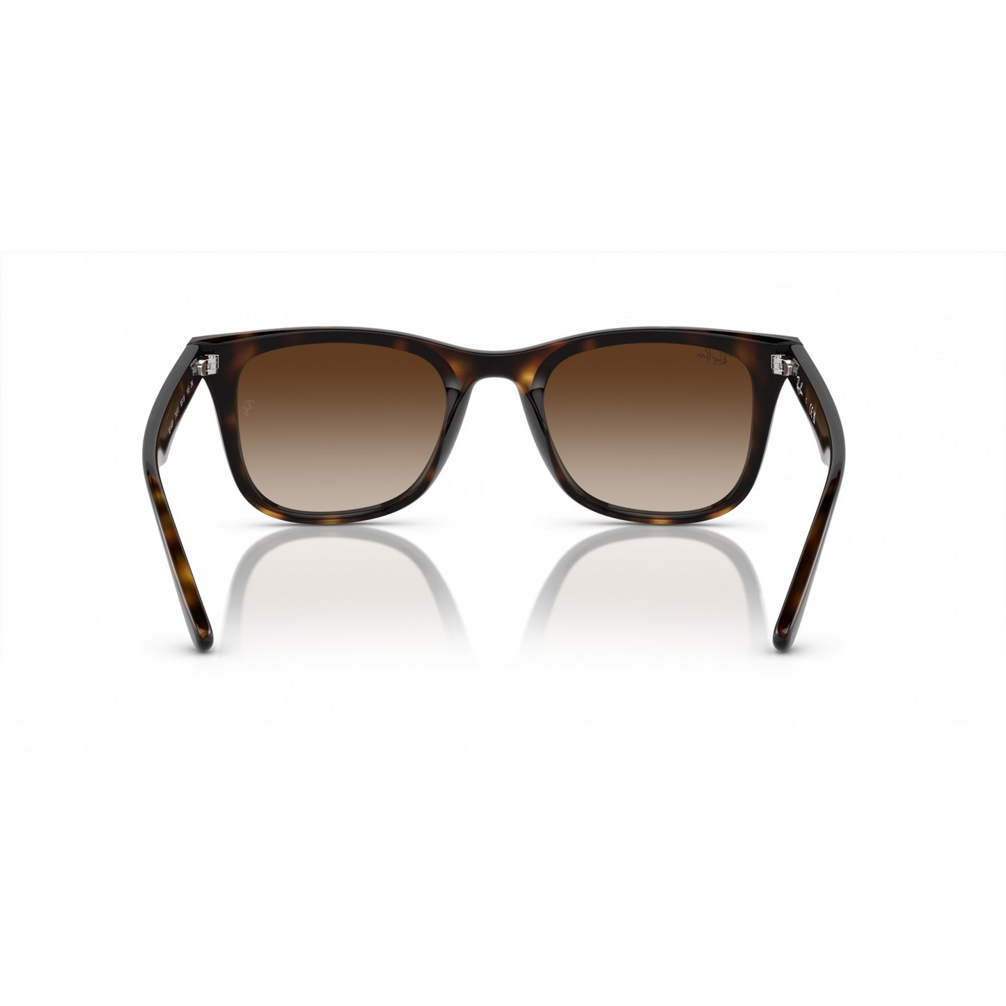 Ray-Ban 0RB4420