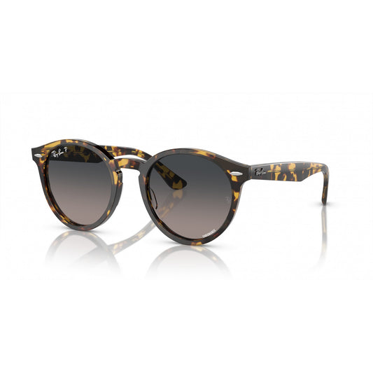 Ray-Ban 0RB7680S