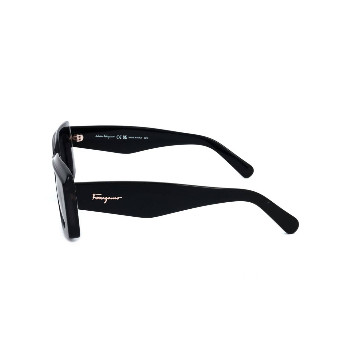 Ferragamo SF1079S