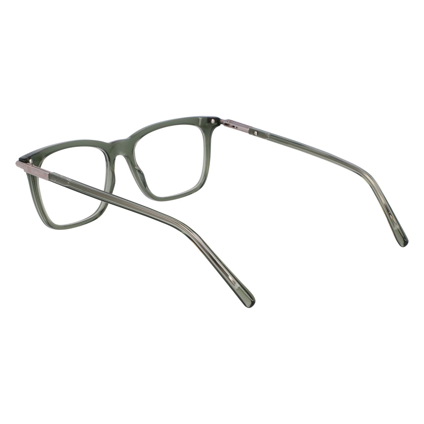 Ferragamo SF3007