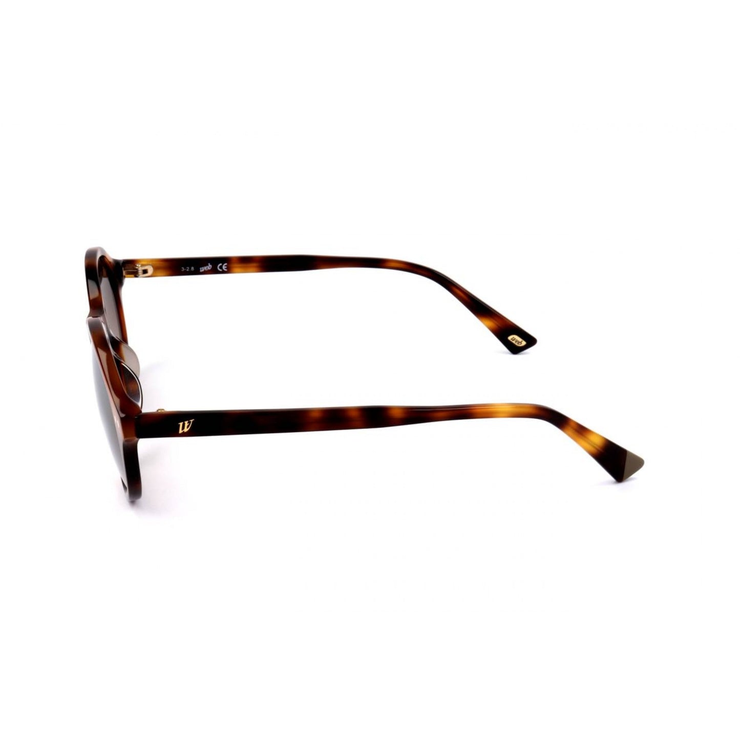Web WE0266