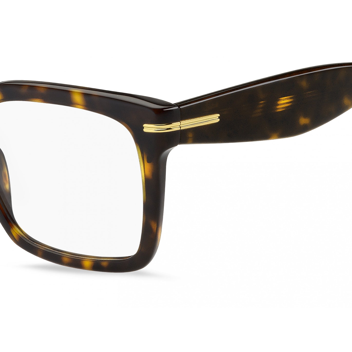 Hugo Boss BOSS 1733