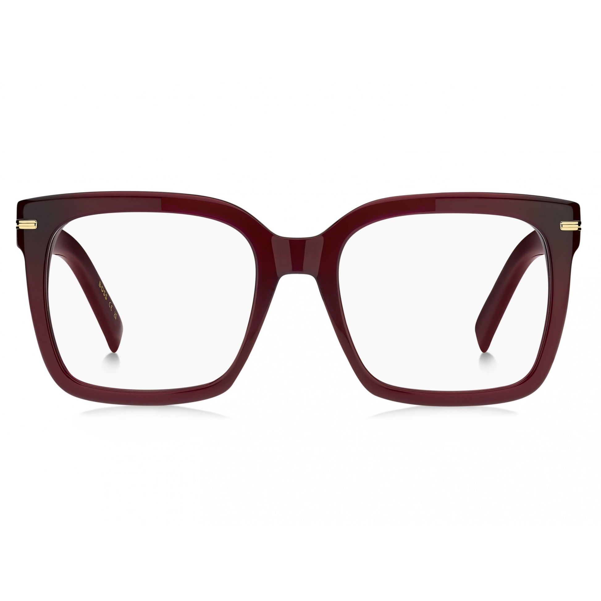 Hugo Boss BOSS 1733