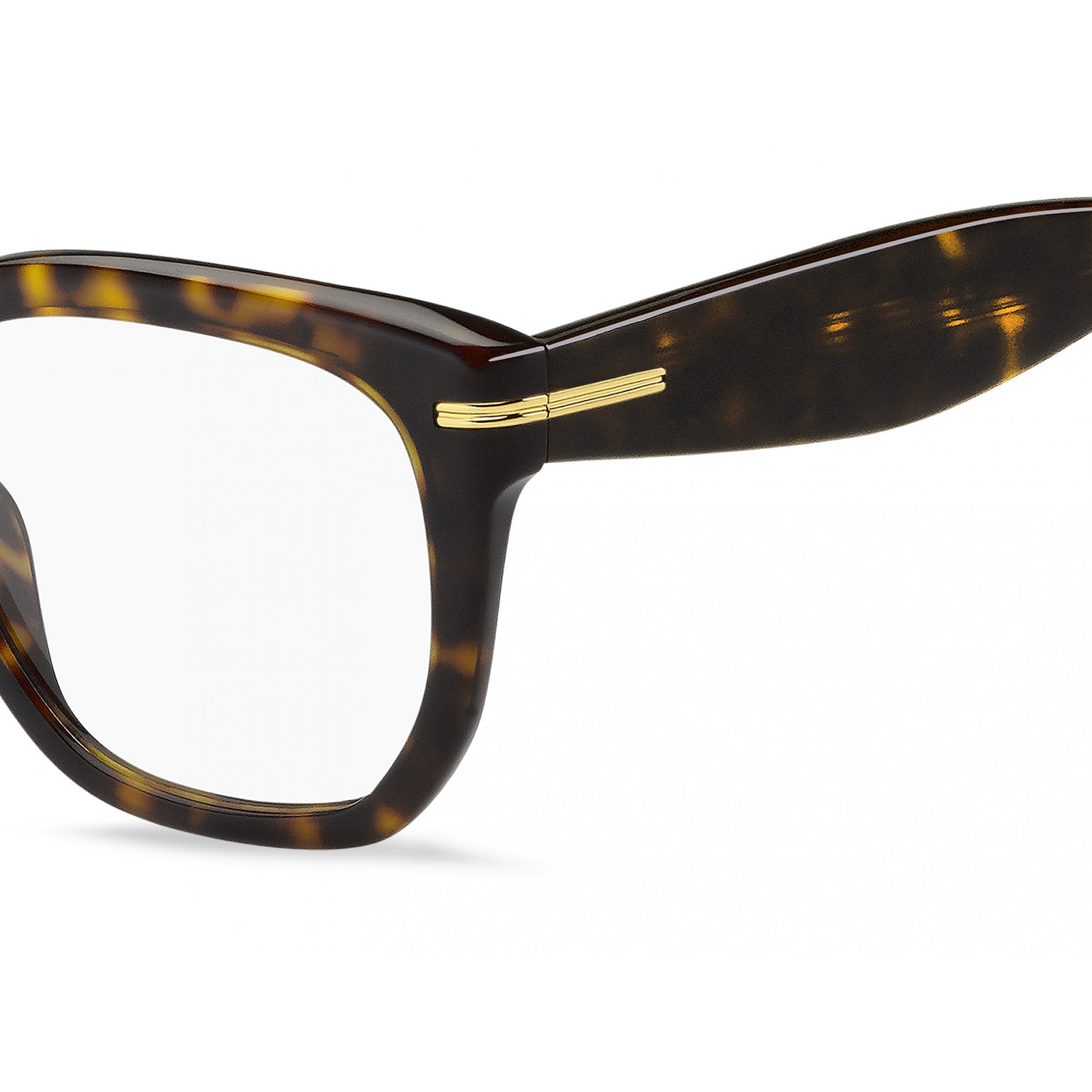 Hugo Boss BOSS 1734