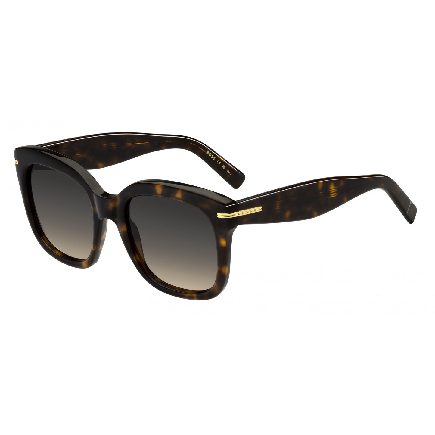Hugo Boss BOSS 1731/S