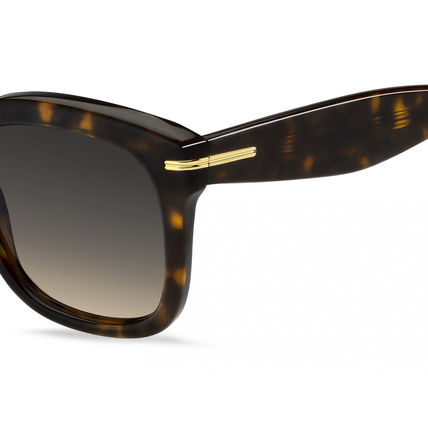 Hugo Boss BOSS 1731/S