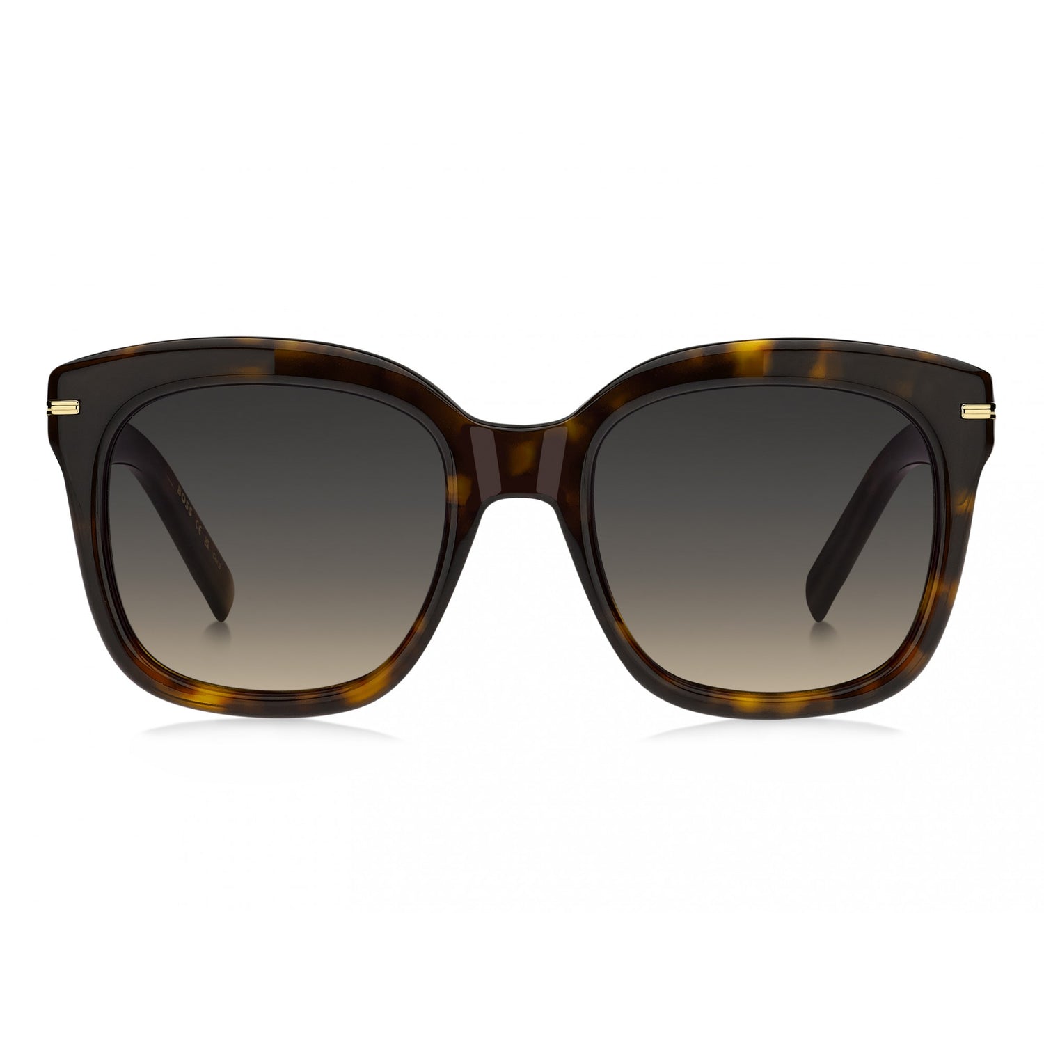 Hugo Boss BOSS 1731/S