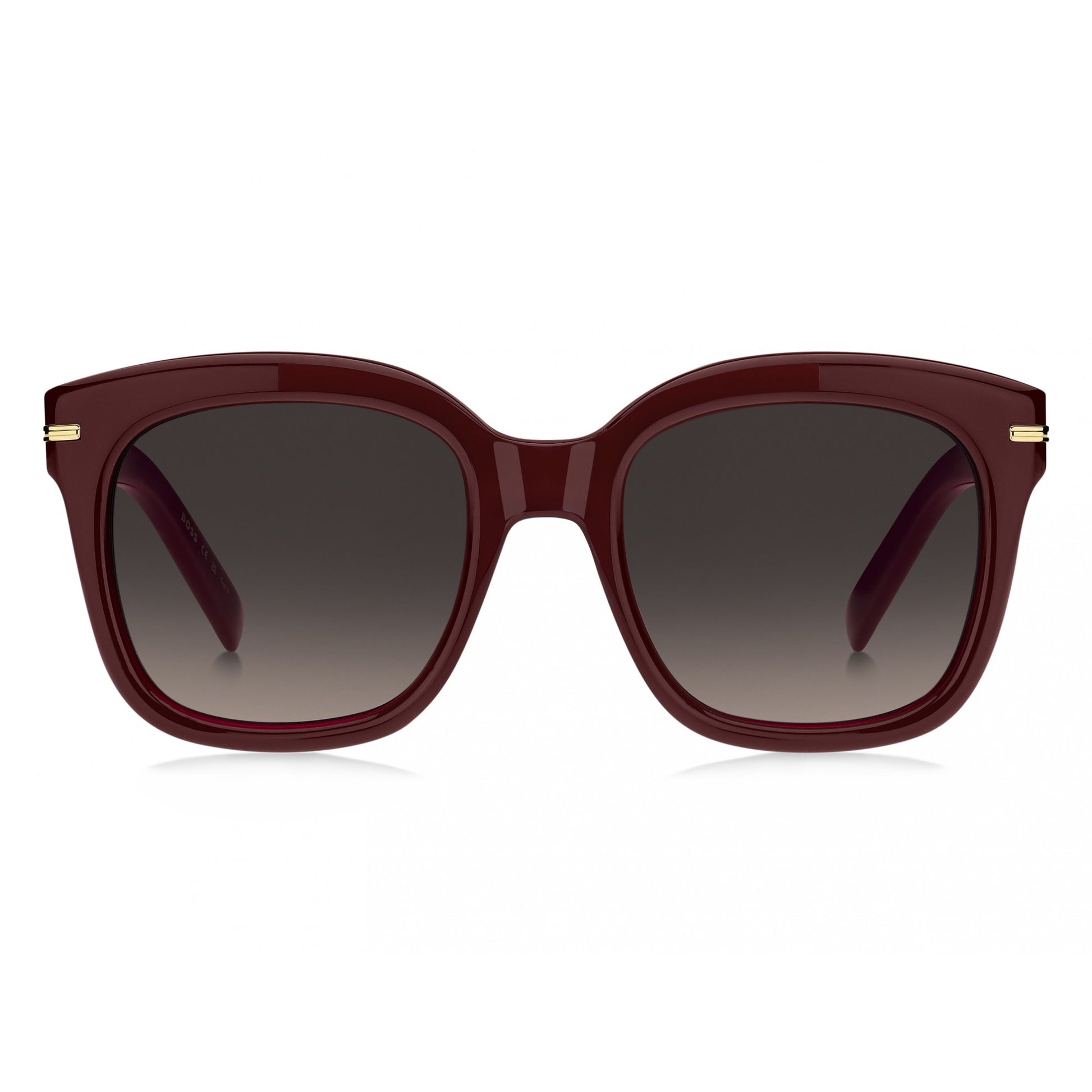 Hugo Boss BOSS 1731/S