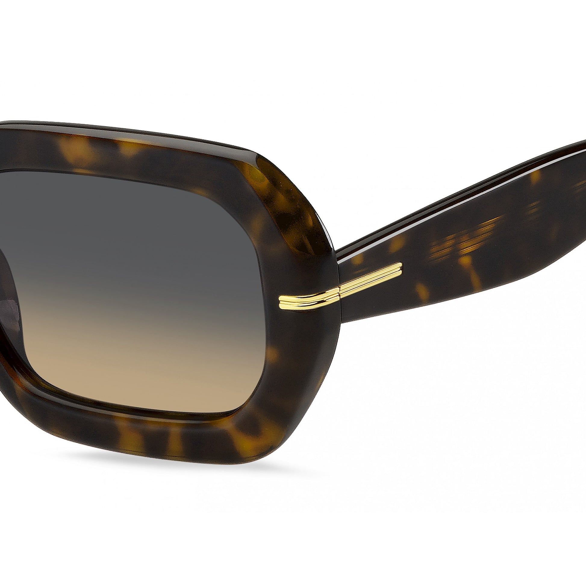 Hugo Boss BOSS 1732/G/S