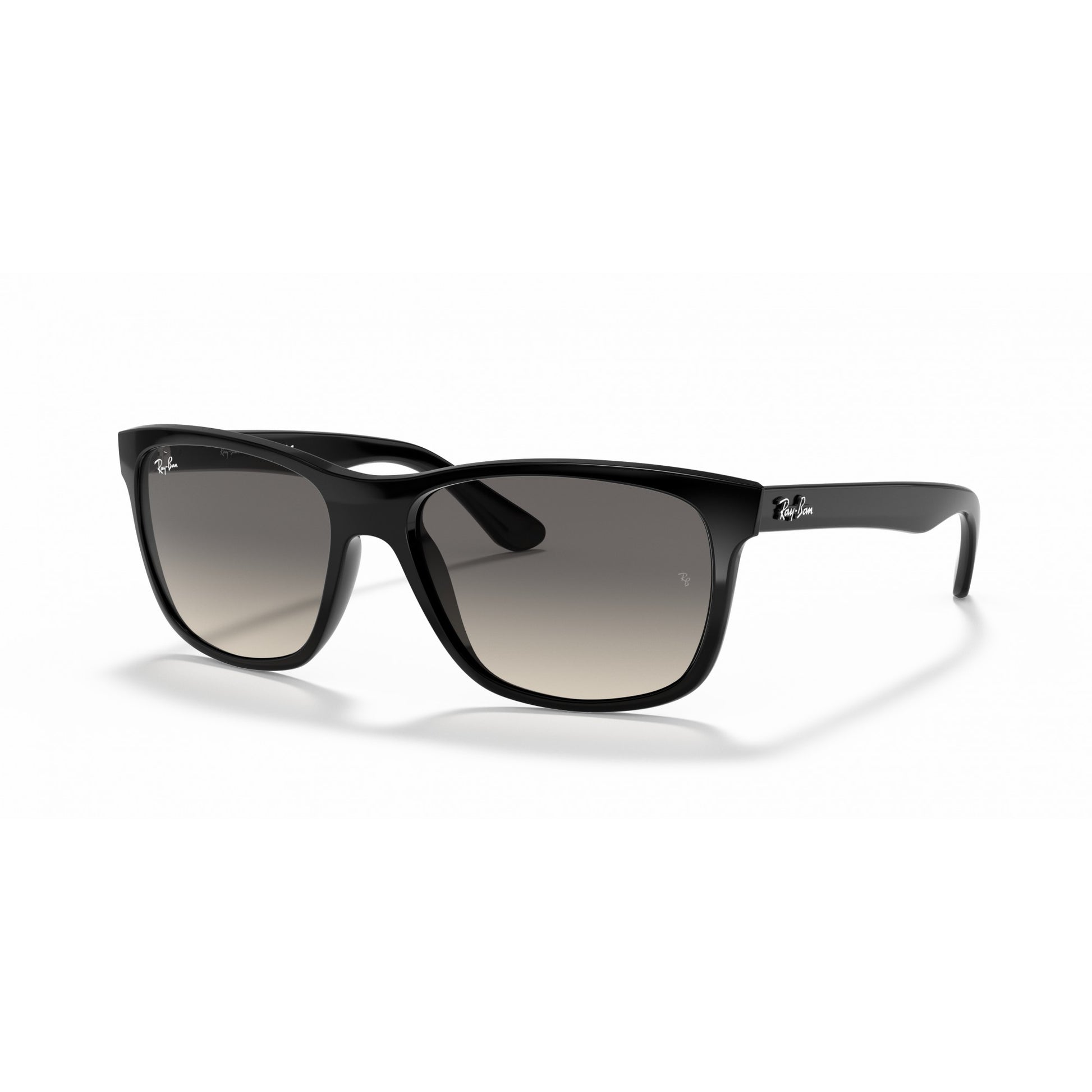 Ray-Ban 0RB4181