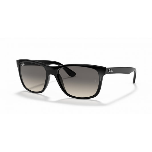 Ray-Ban 0RB4181