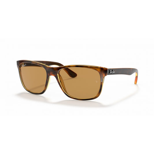 Ray-Ban 0RB4181