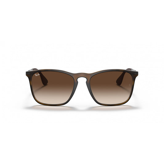 Ray-Ban 0RB4187