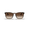 Ray-Ban 0RB4187