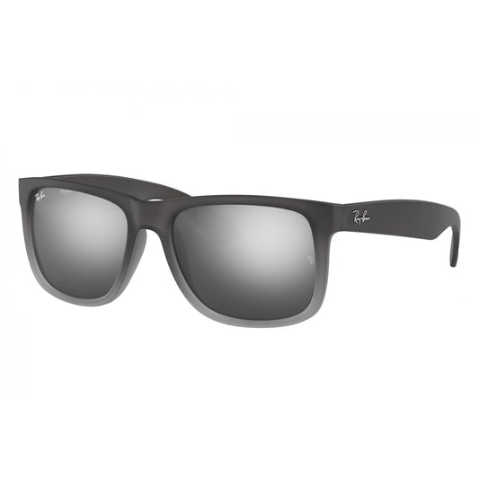 Ray-Ban 0RB4165