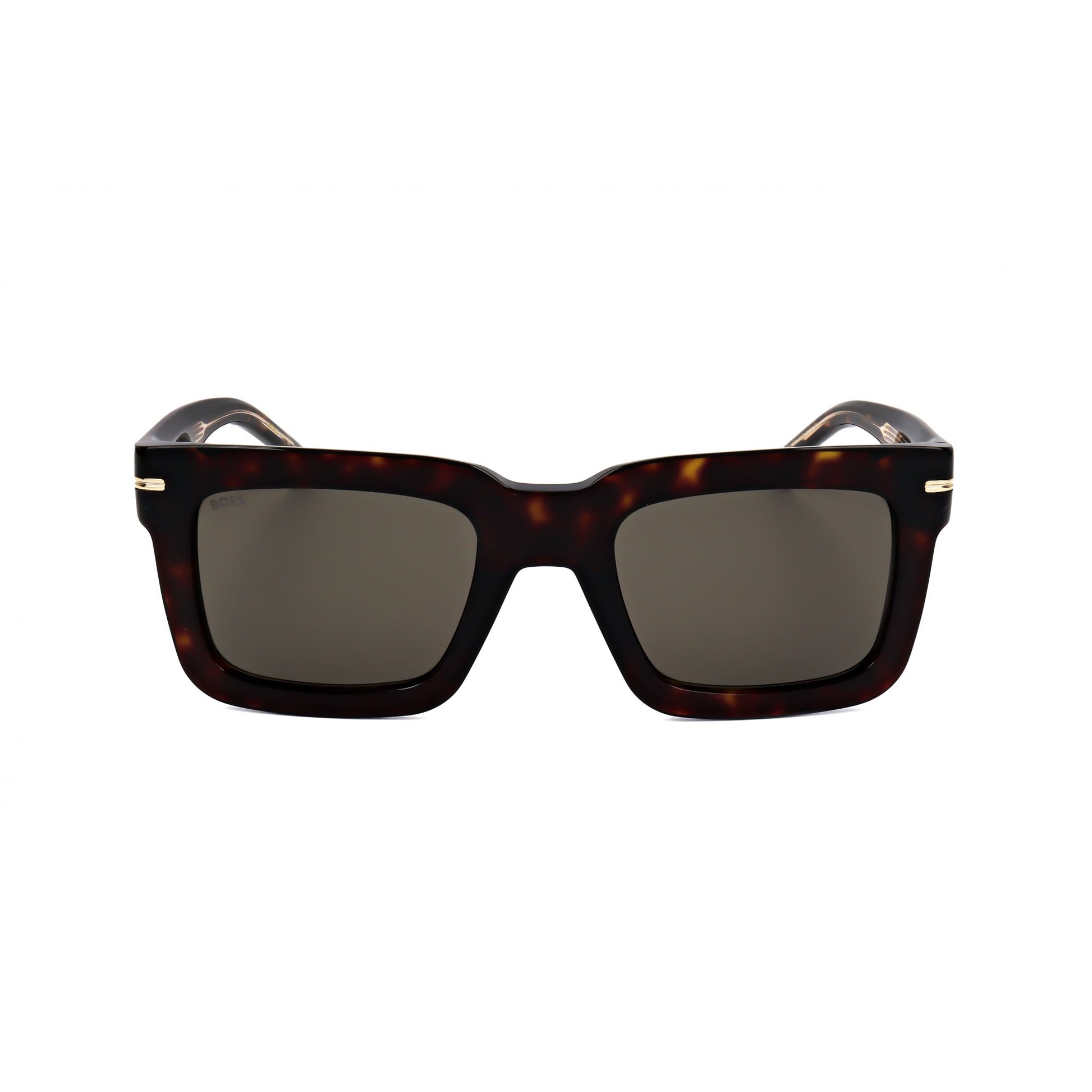 Hugo Boss BOSS 1501/S