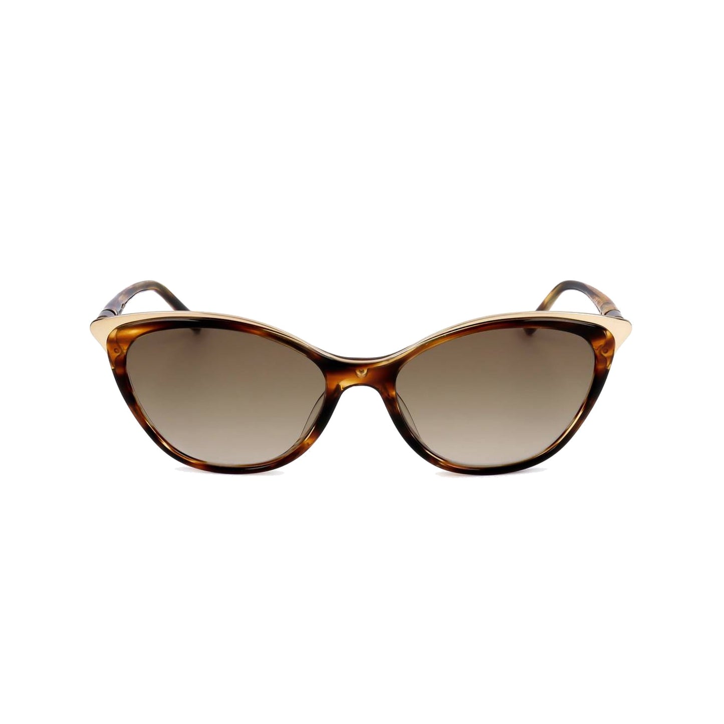 Safilo CIGLIA 01/S