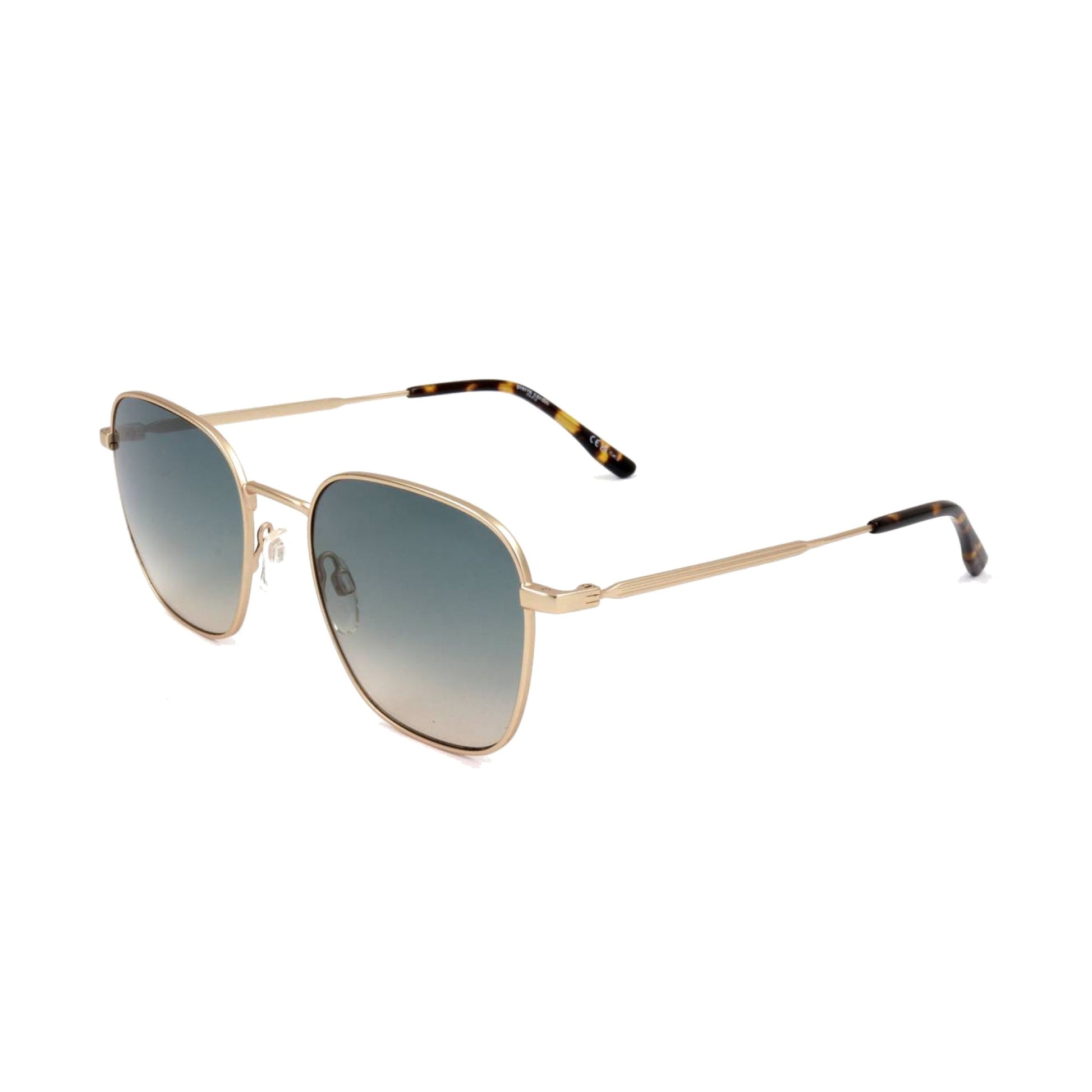 Pierre Cardin P.C. 6896/S