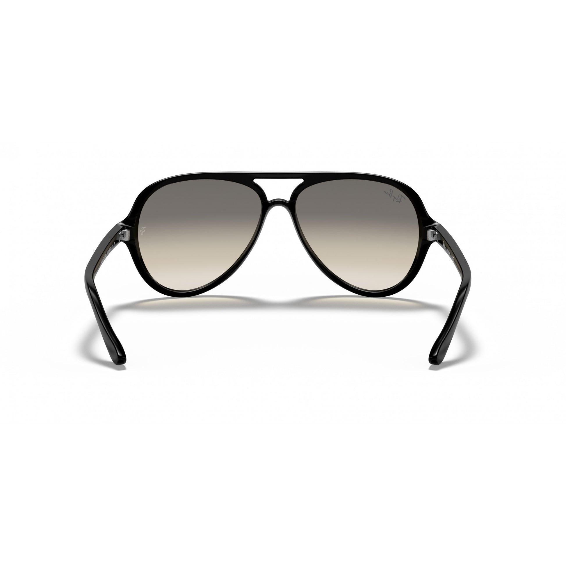 Ray-Ban 0RB4125
