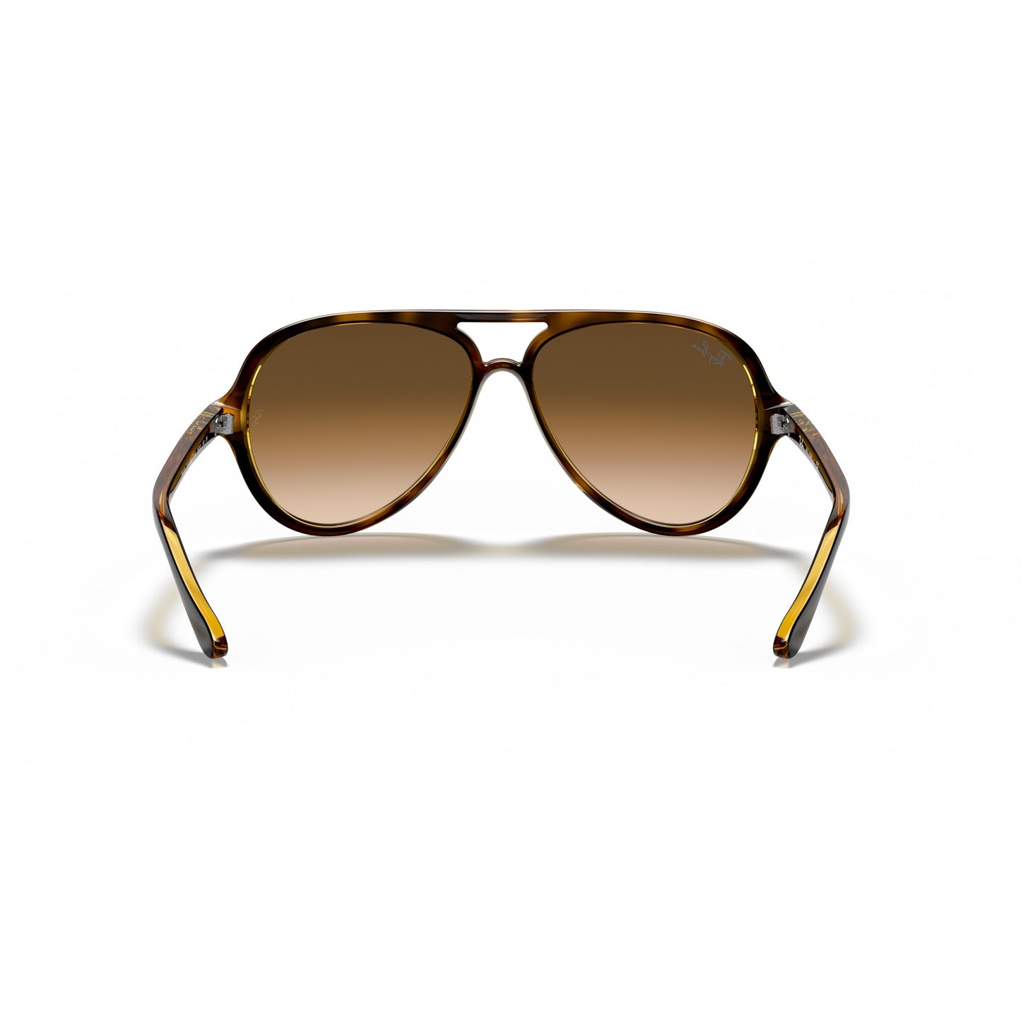 Ray-Ban 0RB4125