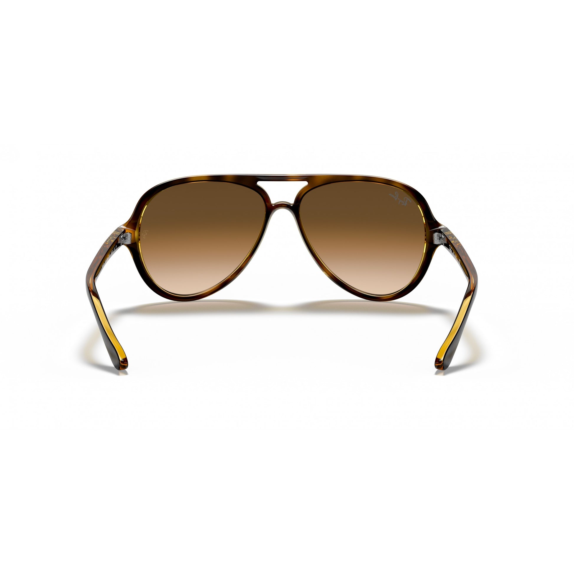 Ray-Ban 0RB4125