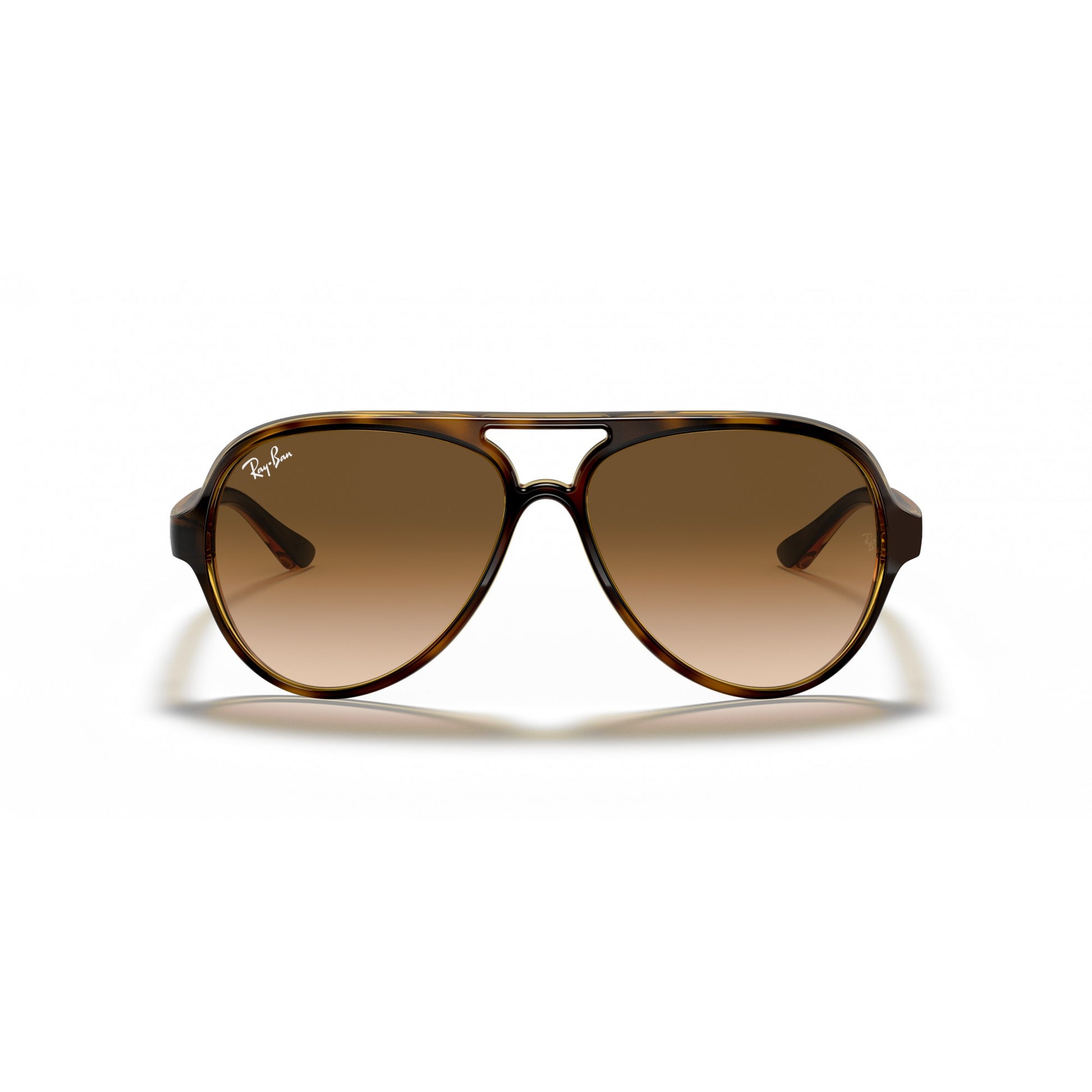 Ray-Ban 0RB4125