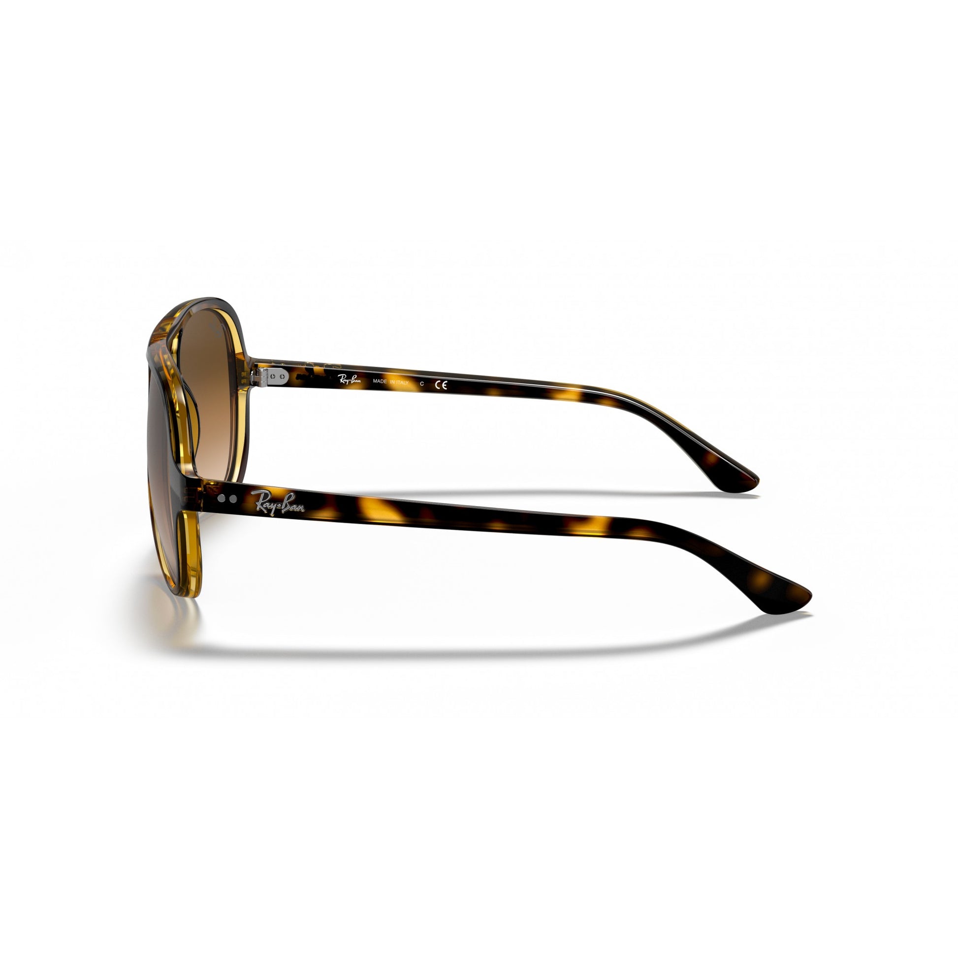 Ray-Ban 0RB4125