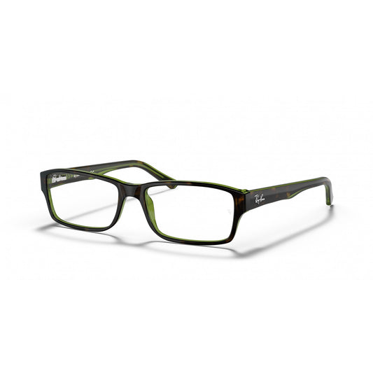 Ray-Ban 0RX5169