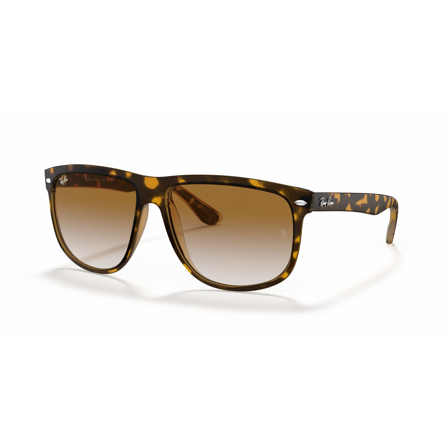 Ray-Ban 0RB4147