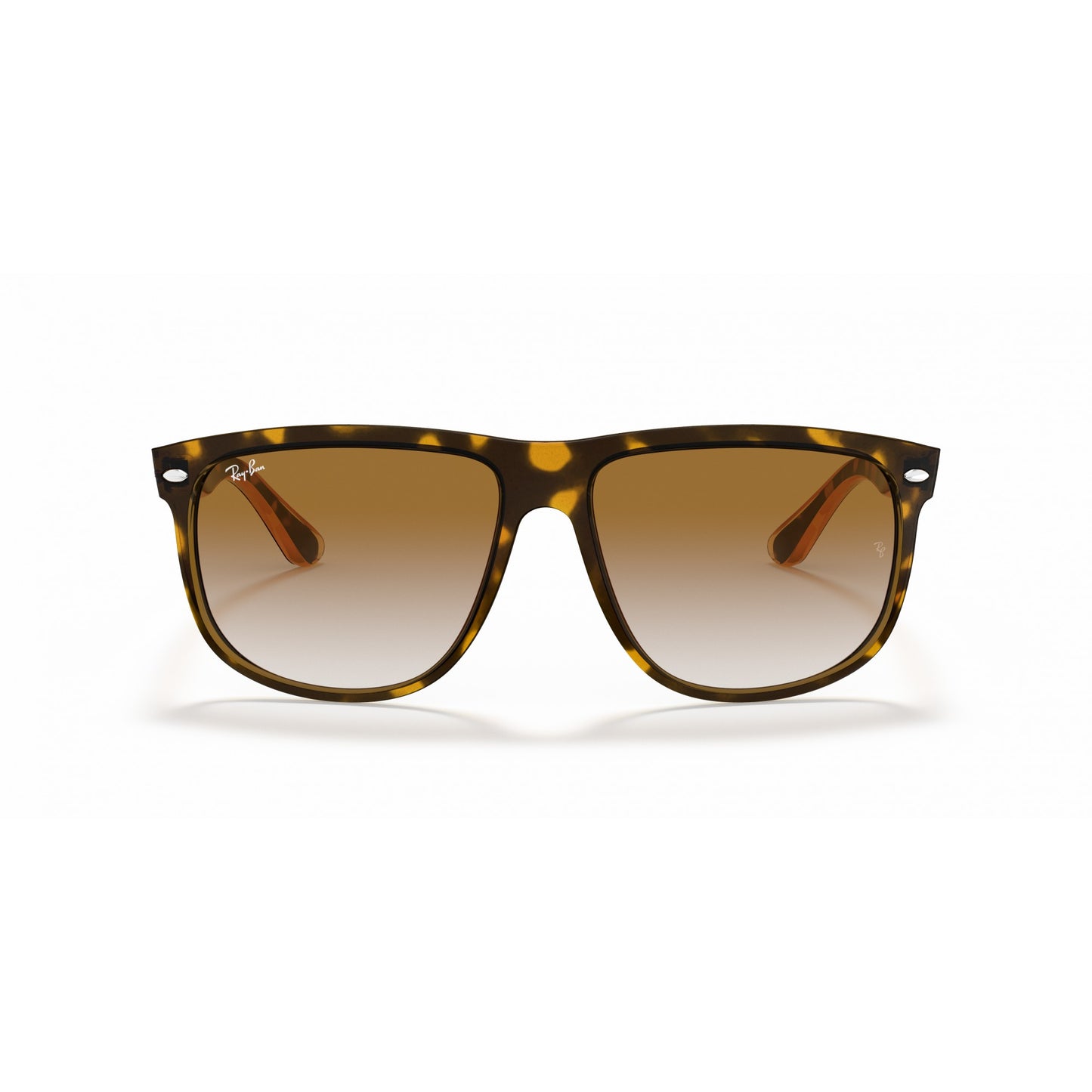 Ray-Ban 0RB4147