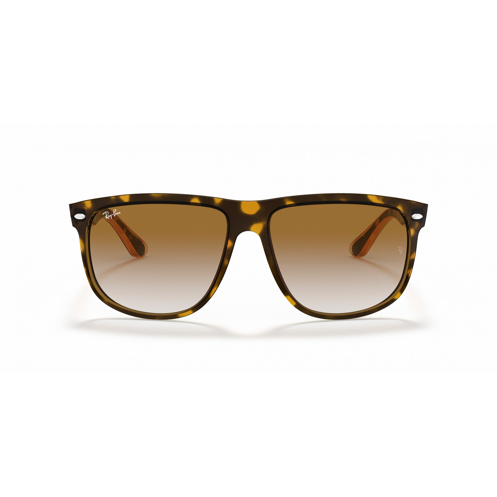 Ray-Ban 0RB4147