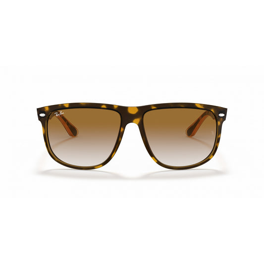 Ray-Ban 0RB4147