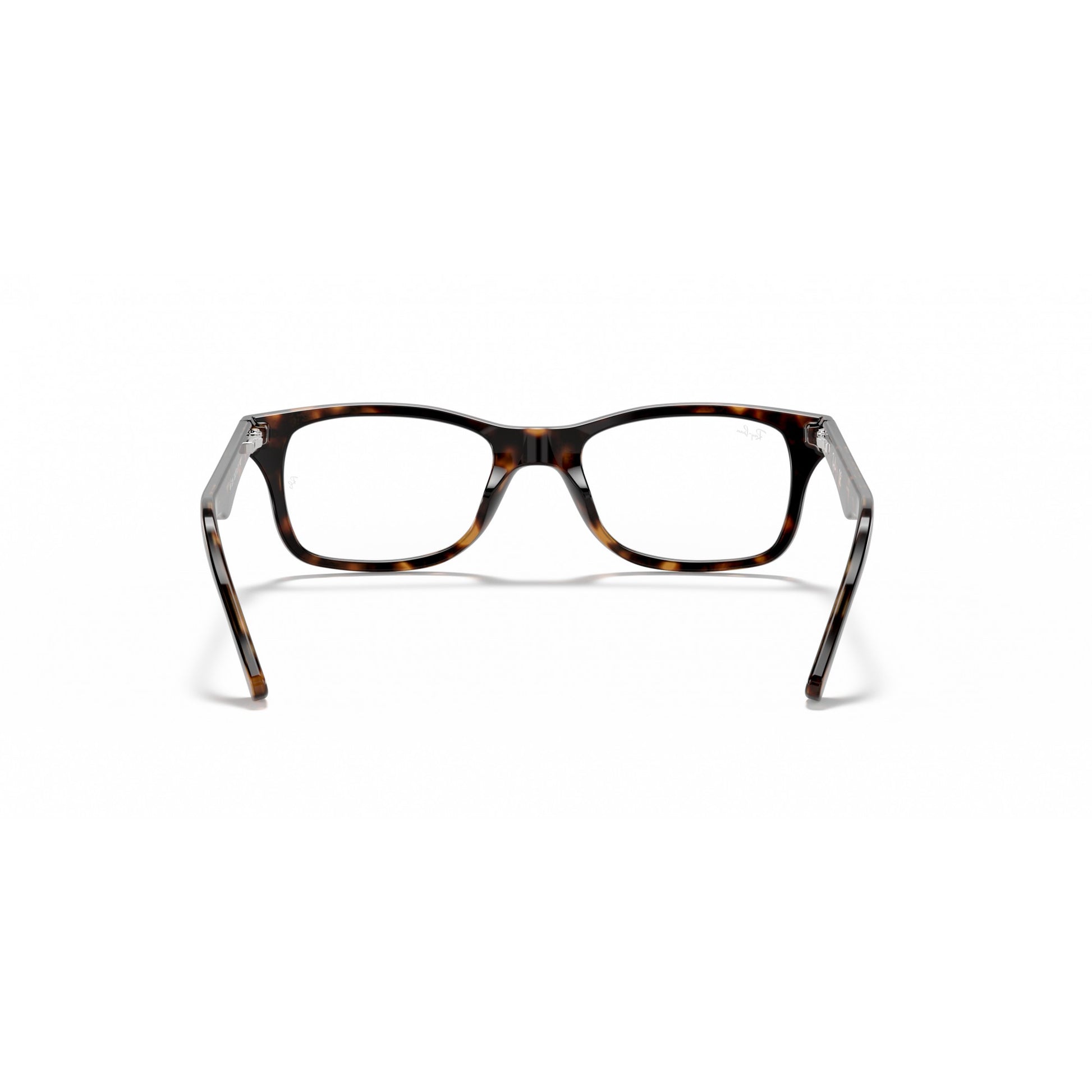 Ray-Ban 0RX5228