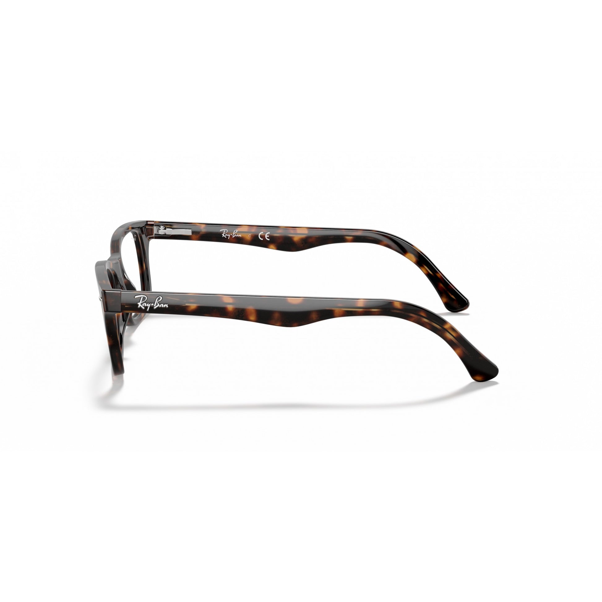 Ray-Ban 0RX5228