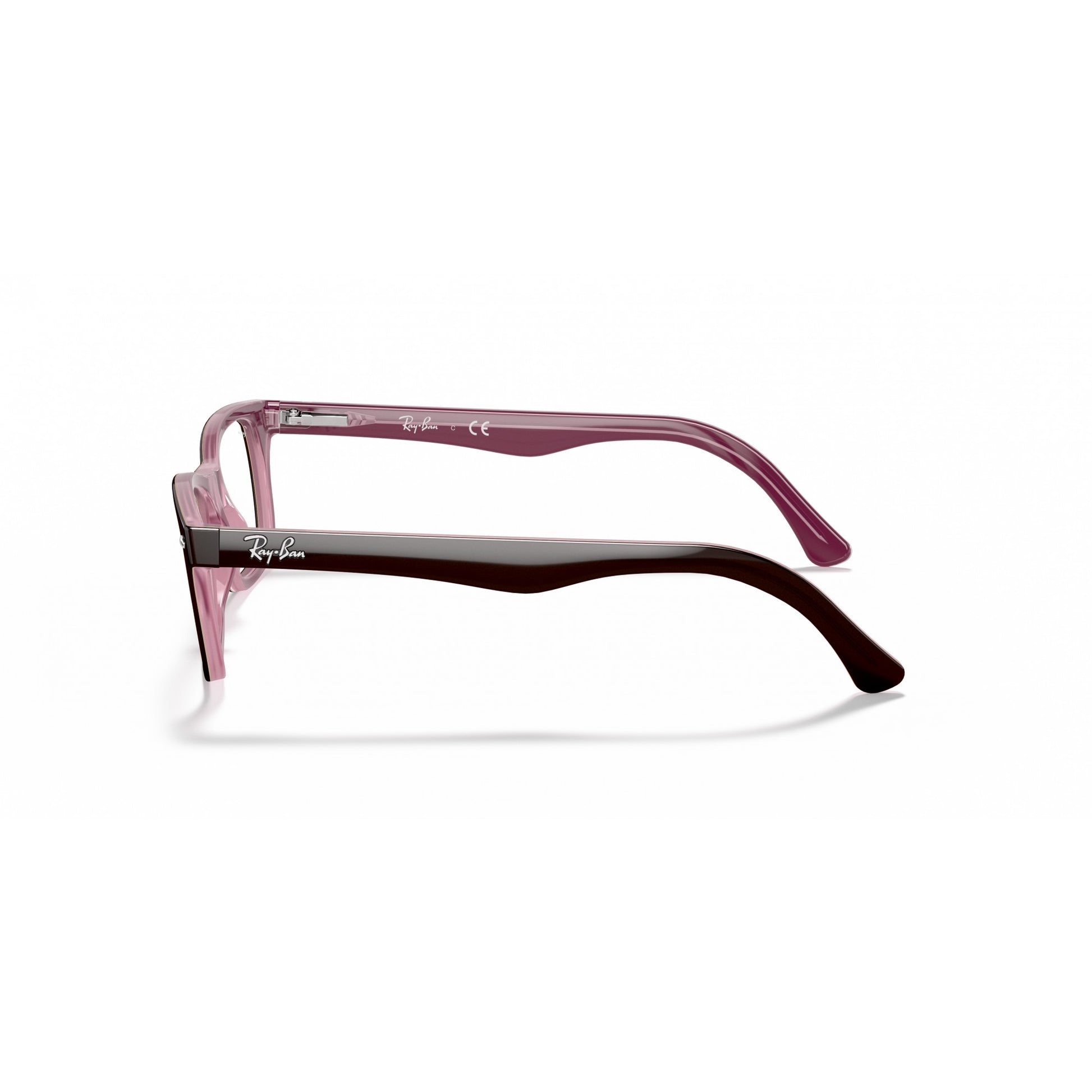 Ray-Ban 0RX5228