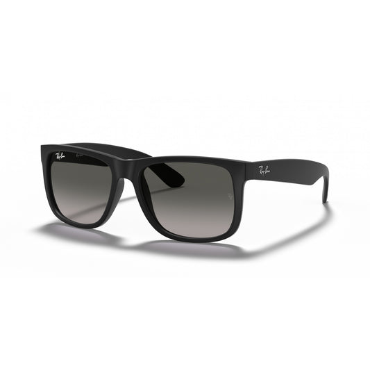 Ray-Ban 0RB4165