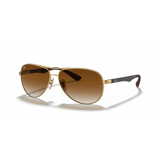 Ray-Ban 0RB8313