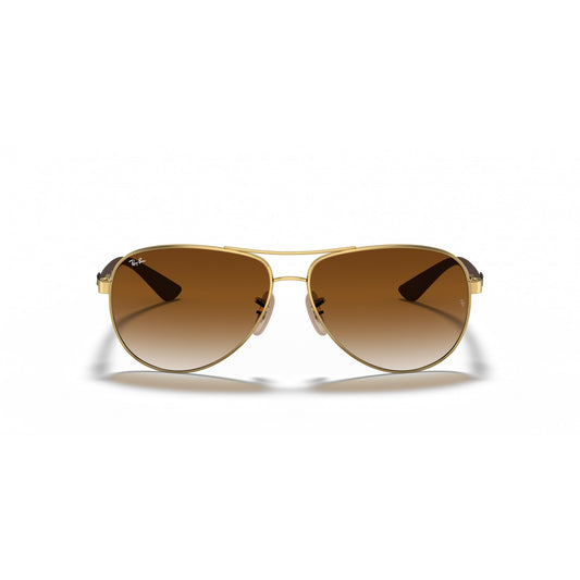 Ray-Ban 0RB8313