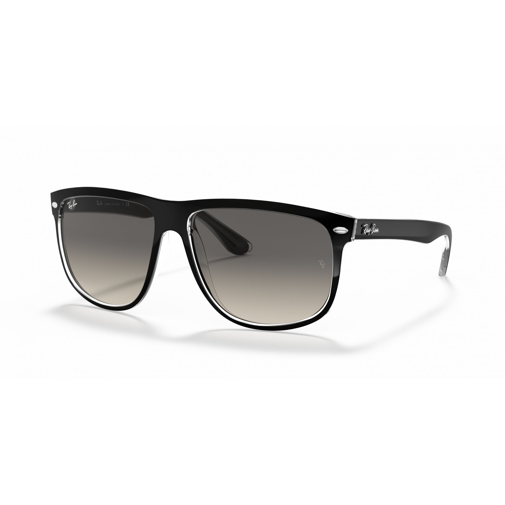 Ray-Ban 0RB4147