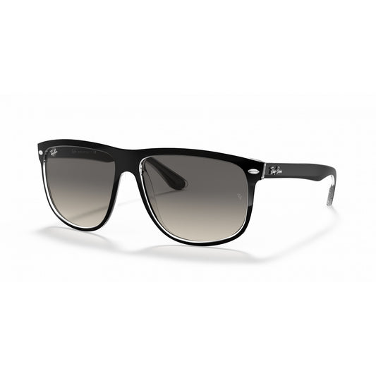 Ray-Ban 0RB4147