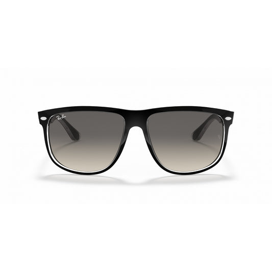 Ray-Ban 0RB4147
