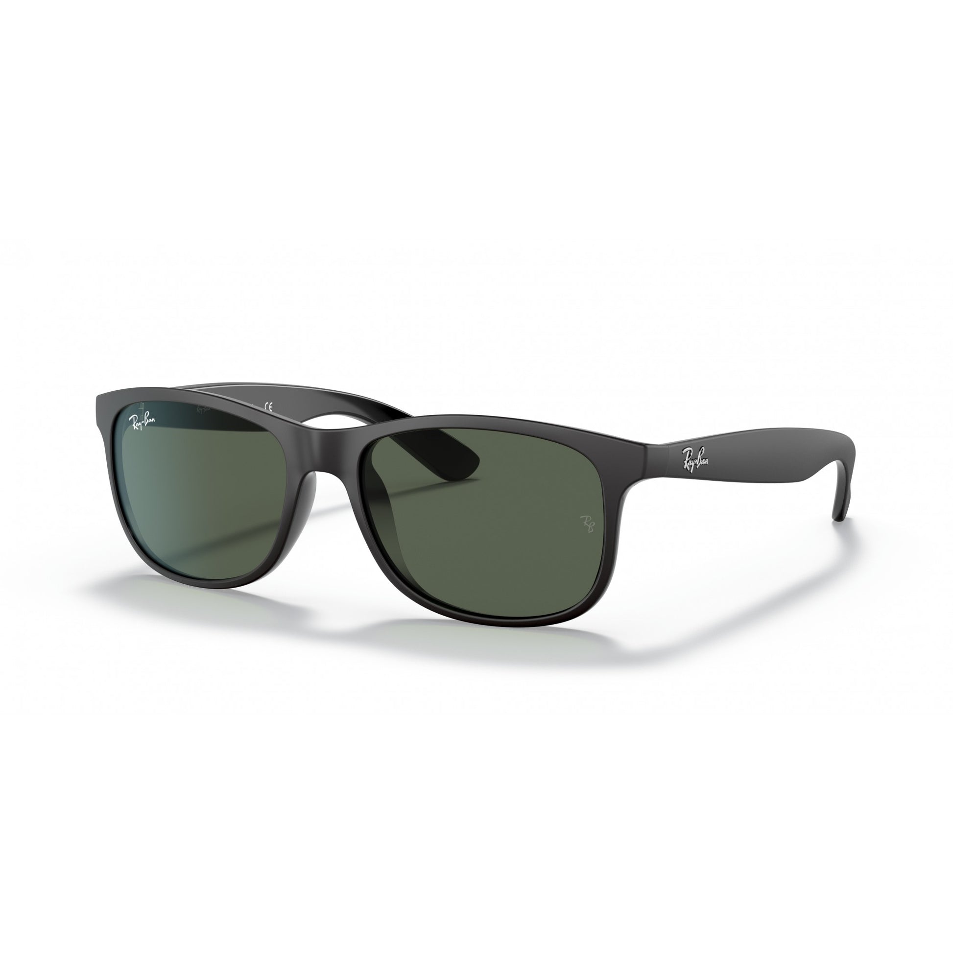 Ray-Ban 0RB4202