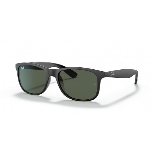 Ray-Ban 0RB4202