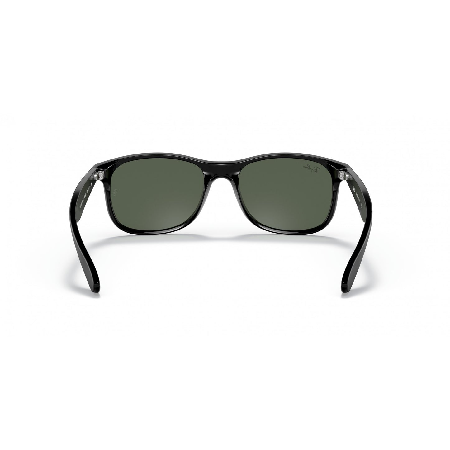 Ray-Ban 0RB4202